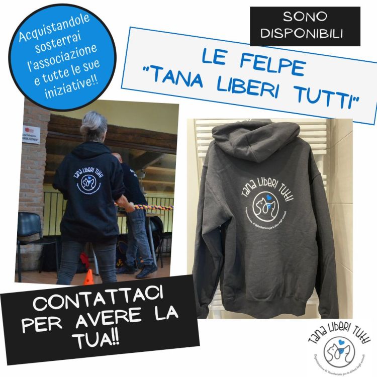 Scopri le nostre&nbsp;felpe!