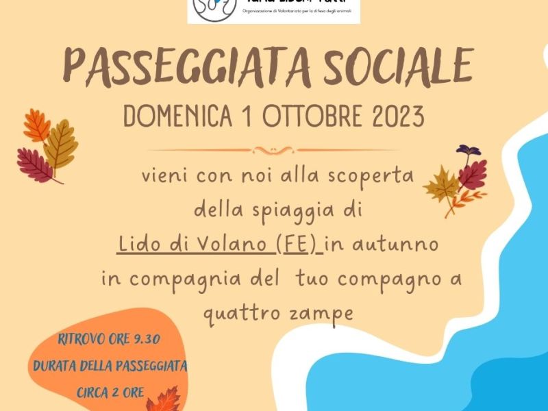 Passeggiate sociali