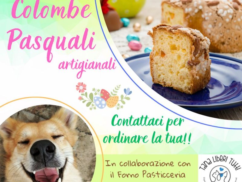 🐣Colombe Pasquali🐣