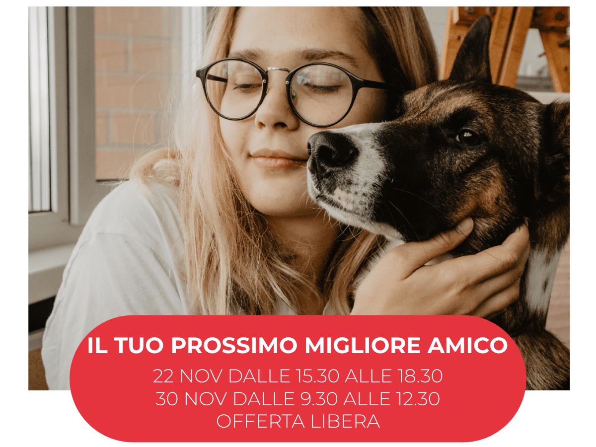 🐶IL TUO PROSSIMO MIGLIORE&nbsp;AMICO🐶