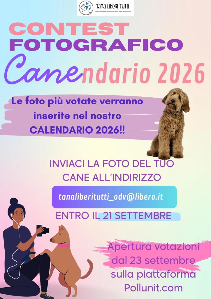 CONTEST FOTOGRAFICO