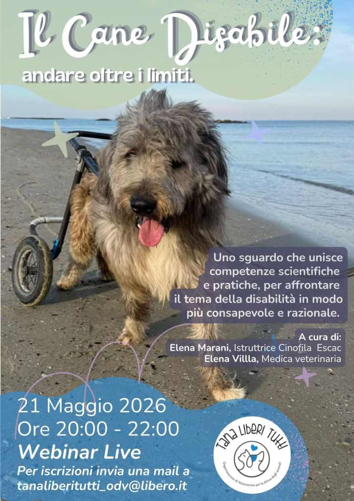 WEBINAR IL CANE DISABILE: ANDARE OLTRE I&nbsp;LIMITI